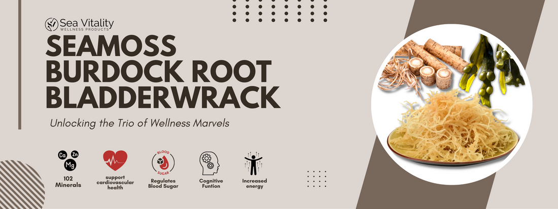 Sea Moss, Burdock Root, and Bladderwrack: A Trio of Wellness Marvels