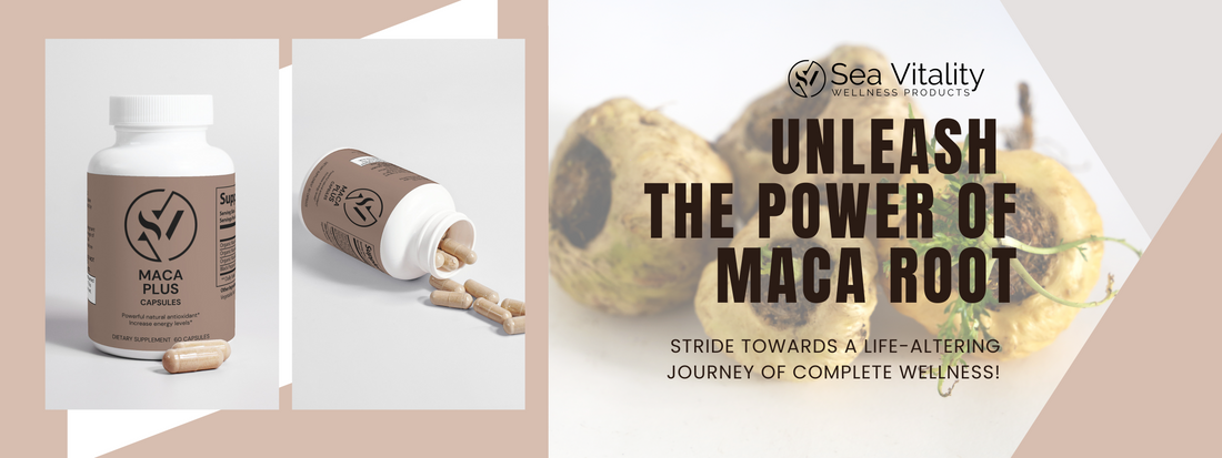 Unleash The Power Of Maca Root