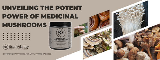 Unveiling the Potent Power of Medicinal Mushrooms