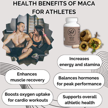 Maca Plus